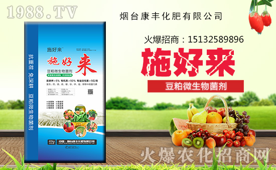 �����_(t��i)���S���ʡ�ף������w�������H�Қg��(l��)��