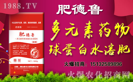 �����_(t��i)���S���ʡ�ף������w�������H�Қg��(l��)��