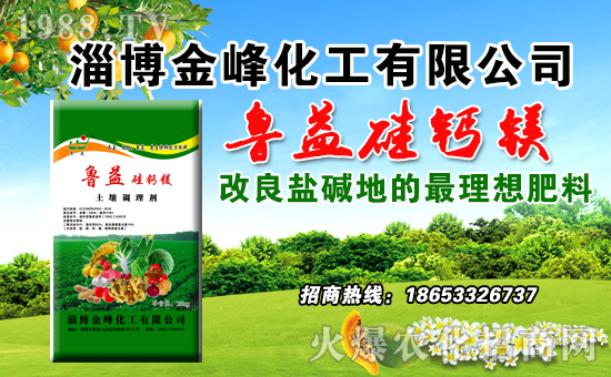 淄博金峰化工有限公司