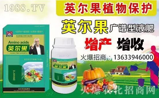 Ӣ��(gu��)Ӣ����ֲ�ﱣ�o(h��)���޹�˾