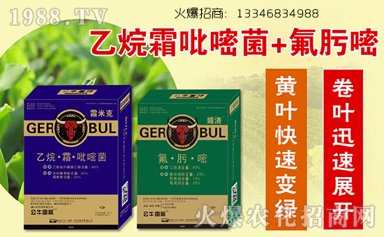 德國(guó)公牛(國(guó)際)植物保護(hù)有限公司