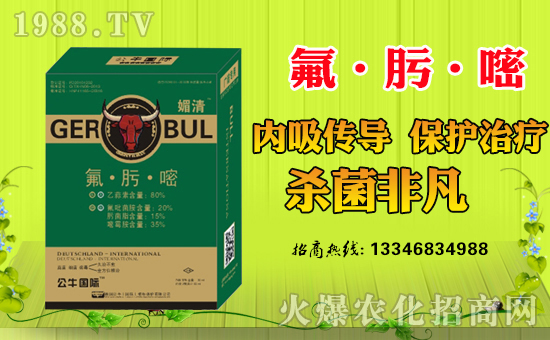 德國(guó)公牛(國(guó)際)植物保護(hù)有限公司