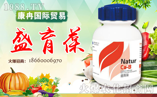 煙臺(tái)康冉國際貿(mào)易有限公司3