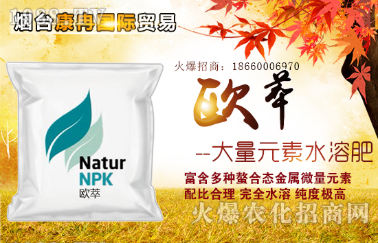 煙臺(tái)康冉國際貿(mào)易有限公司5