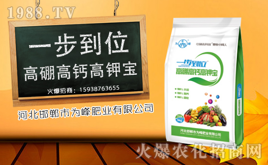 【為峰肥業(yè)】給您拜年啦!祝您新春大吉,萬事如意!