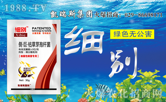 【凱瑞斯集團(tuán)】祝大家生意興!闔家歡樂(lè)!