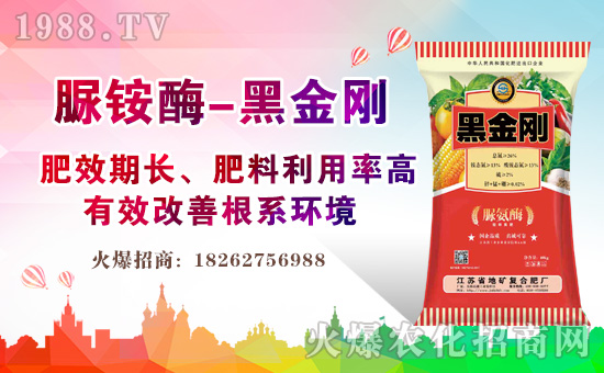 江蘇省地礦復(fù)合肥廠1