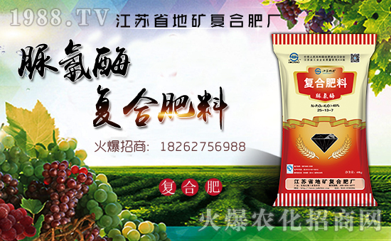 江蘇省地礦復(fù)合肥廠