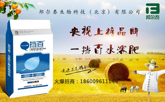 �̩����Ƽ������������޹�˾