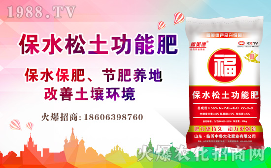 山東中魯大化肥業(yè)有限公司