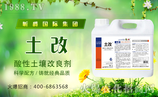 昕爵國際集團(tuán)