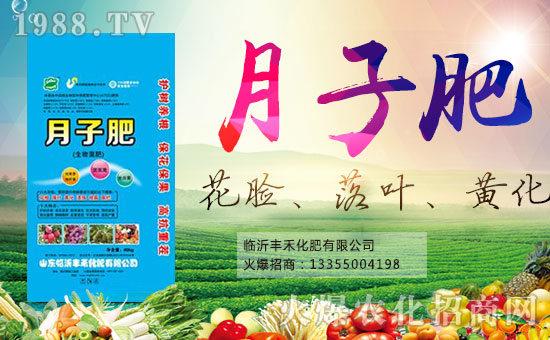 臨沂豐禾化肥有限公司