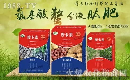 荷蘭聯(lián)合利華化工集團(tuán)