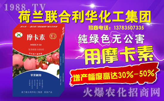 荷蘭聯(lián)合利華化工集團(tuán)