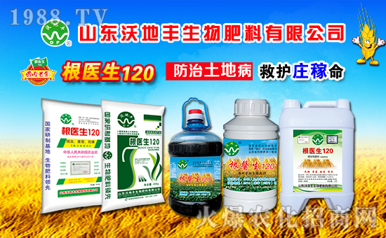 山東沃地豐生物肥料有限公司