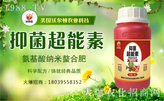 �������֠��D����ף�������옷���f�����⣡