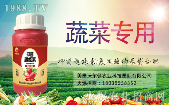 �������֠��D����ף�������옷���f��������