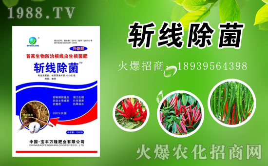 ���S�f¡ȫ�w�T��ף�������ã�