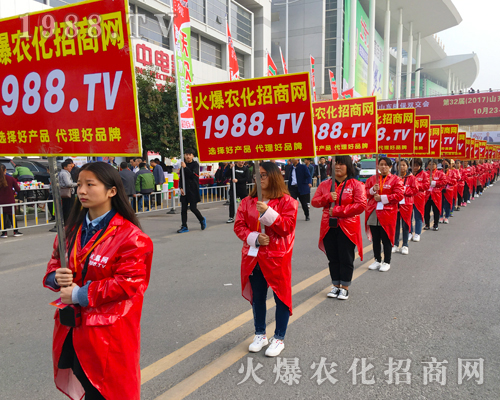 ��������(zh��n)����̤�������r(n��ng)���W(w��ng)����(zh��n)��23��ɽ�|ֲ����