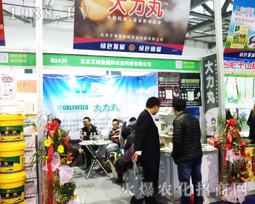 艾格魯國(guó)際1