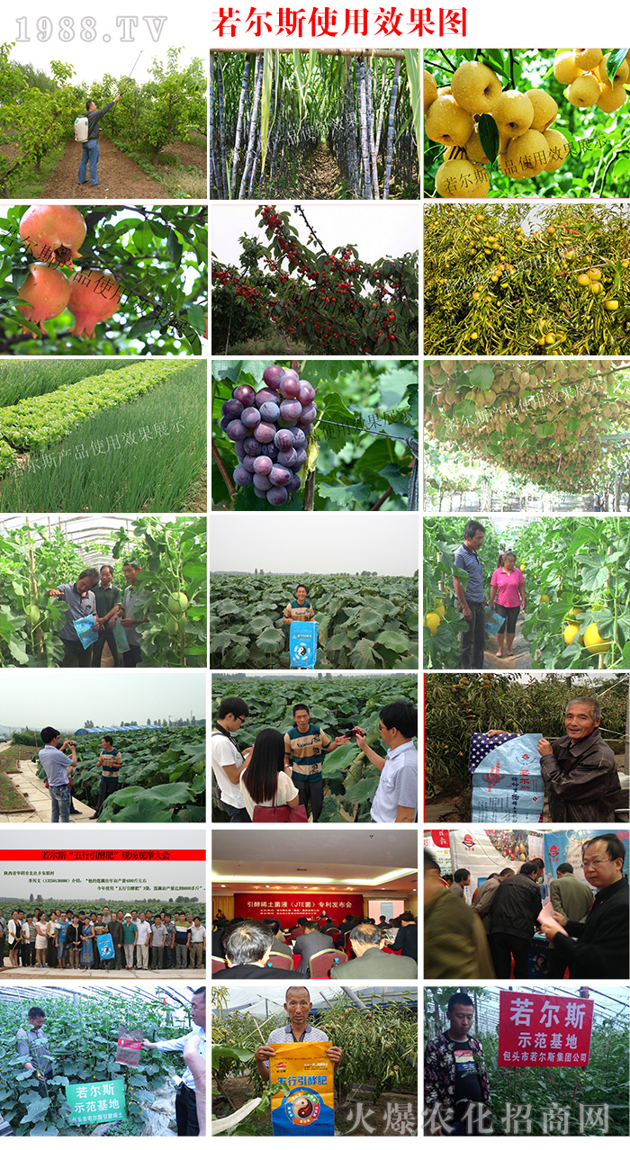 ���^������˹�ͺϷ�����؟�ι�˾