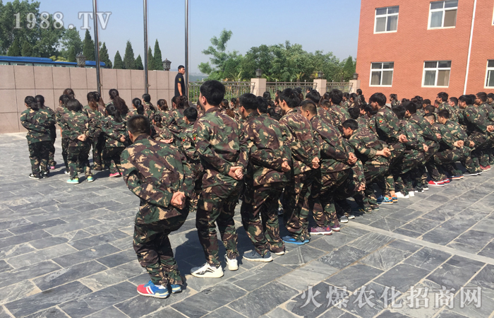 ���w�O�޵�����(zh��n)�������ϴ�Y