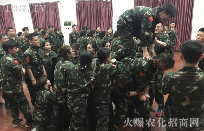 ��Ҫ�M�����飬ֻҪȫ���Ը���