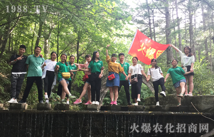 揮灑汗水,勇攀高峰