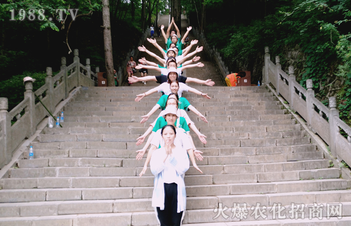 登山猶如人生—登山感想