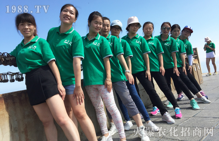 洛陽(yáng)白云山,感受云海之上的壯美