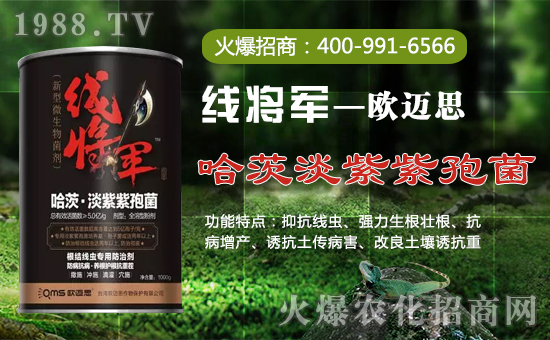 【歐邁思】全體員工恭祝全國經(jīng)銷商身體健康,狗年吉祥!