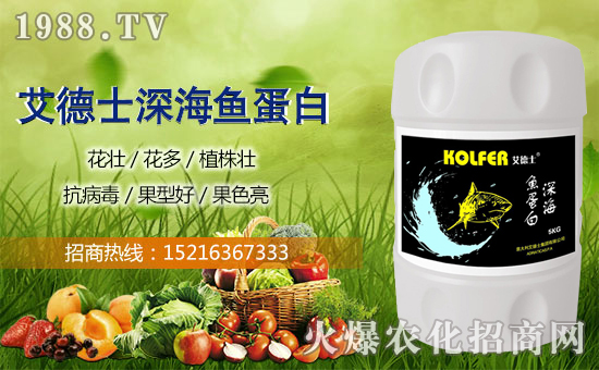 迎新春,新年到!艾德士祝大家新的一年里好事多多!笑容多多!