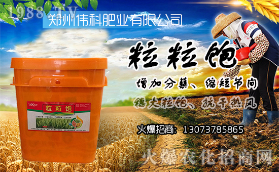 �����ƷʘI(y��)��ף������µ�һ����ؔ(c��i)Դ�L�L����