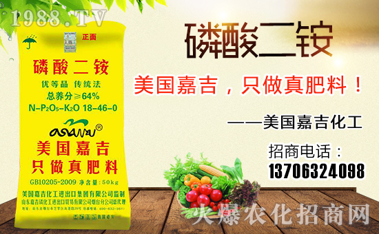 美國(guó)嘉吉化工進(jìn)出口集團(tuán)有限公司