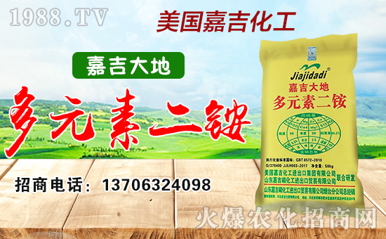 美國(guó)嘉吉化工進(jìn)出口集團(tuán)有限公司