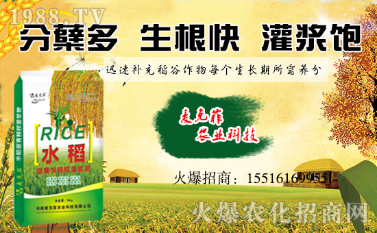 �����˷��r(n��ng)�I(y��)��ף��ҹ�������f��������