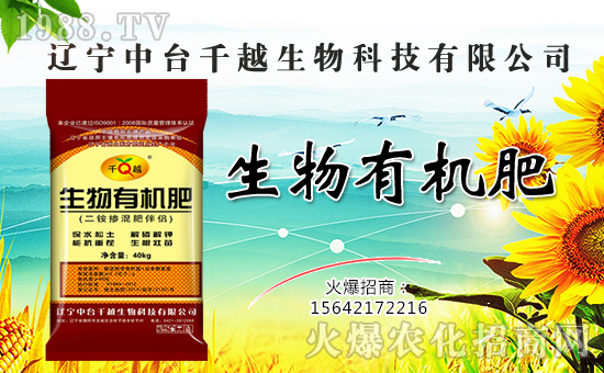 【中臺(tái)千越】金犬叩響吉利門,福旺財(cái)源滾滾進(jìn)