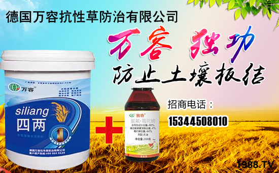 �����f�ݡ�ȫ�w�T����ףȫ����(j��ng)�N�����w����������l(f��)��ؔ��