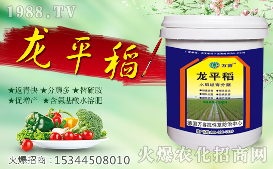 �����f�ݡ�ȫ�w�T����ףȫ����(j��ng)�N�����w����������l(f��)��ؔ��