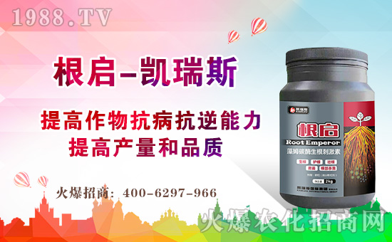 ���P��˹��(gu��)�H��ף������µ�һ�����H�Қg�����Ҹ����M��