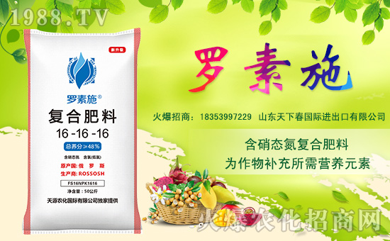 山東天下春國(guó)際進(jìn)出口有限公司