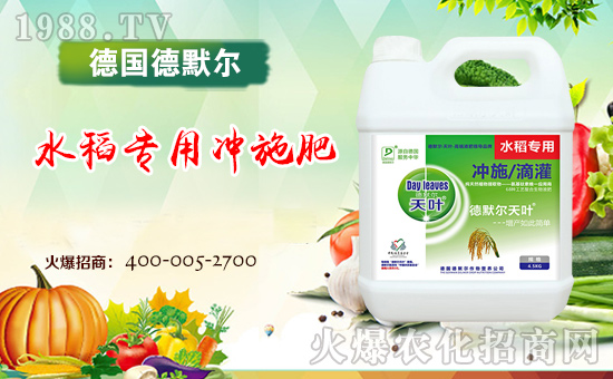 【德國(guó)德默爾】祝大家2018年天天好運(yùn)到,日日福星照!