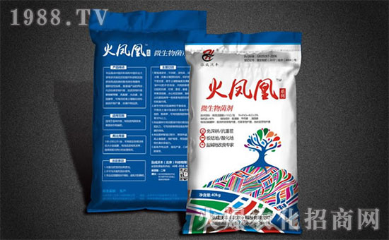 ���������S��ȫ�w�T��ף�V���r(n��ng)�Y���т�����(ji��)������Ҹ����M��