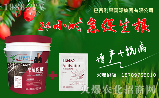 ���������H��ף������µ�һ���ﹷ������f��������