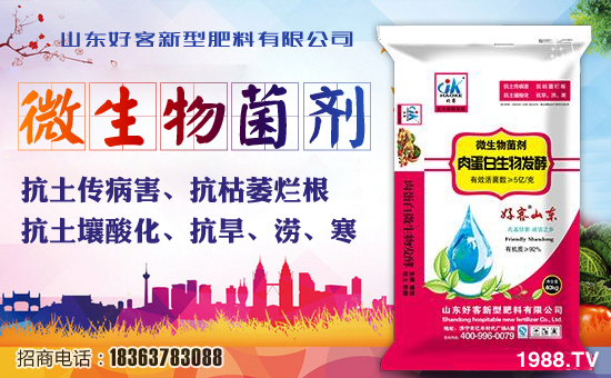 【山東好客】祝大家狗年好運長似龍,家庭和睦多興!