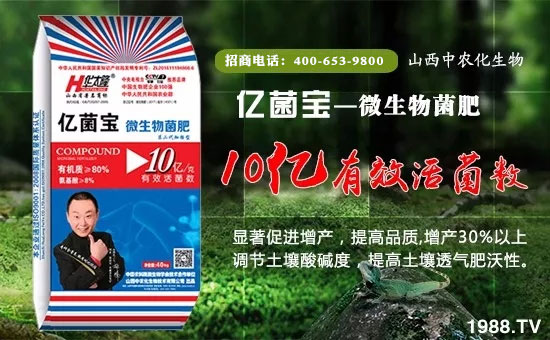 【山西中農(nóng)化】給大家拜年啦!祝您一帆風(fēng)順、財(cái)源廣進(jìn)!