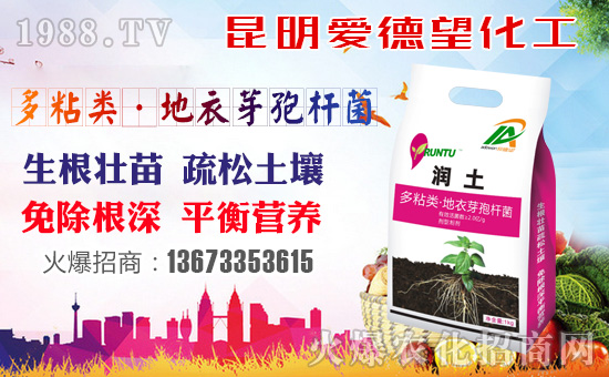 ����(��i)����������ף������µ�һ�����Ҹ����M(m��n)���H�Қg��(l��)��