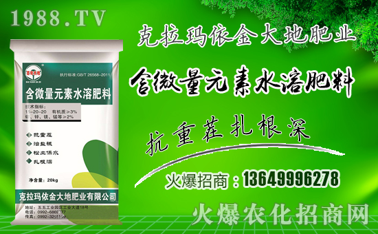 �����طʘI(y��)��ף������µ�һ���������³����f��������