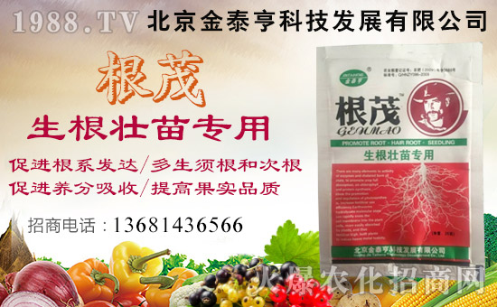 ��������̩�ࡿ��ף��λ��(j��ng)�N�����т�����t����ؔ(c��i)Դ�V�M(j��n)��