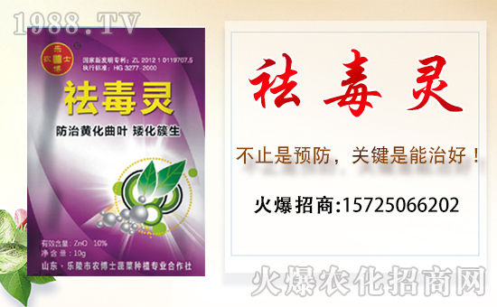 �������r(n��ng)��ʿ��ף������µ�һ������w�������f��������